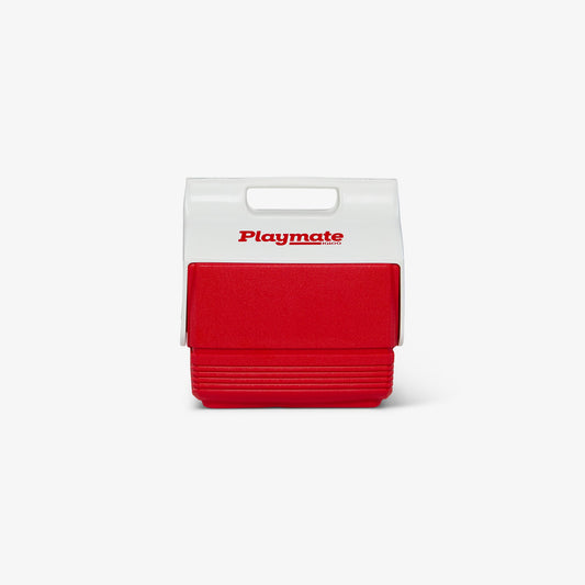 playmate-mini-4-qt-cooler-y2 00005562-F.jpg