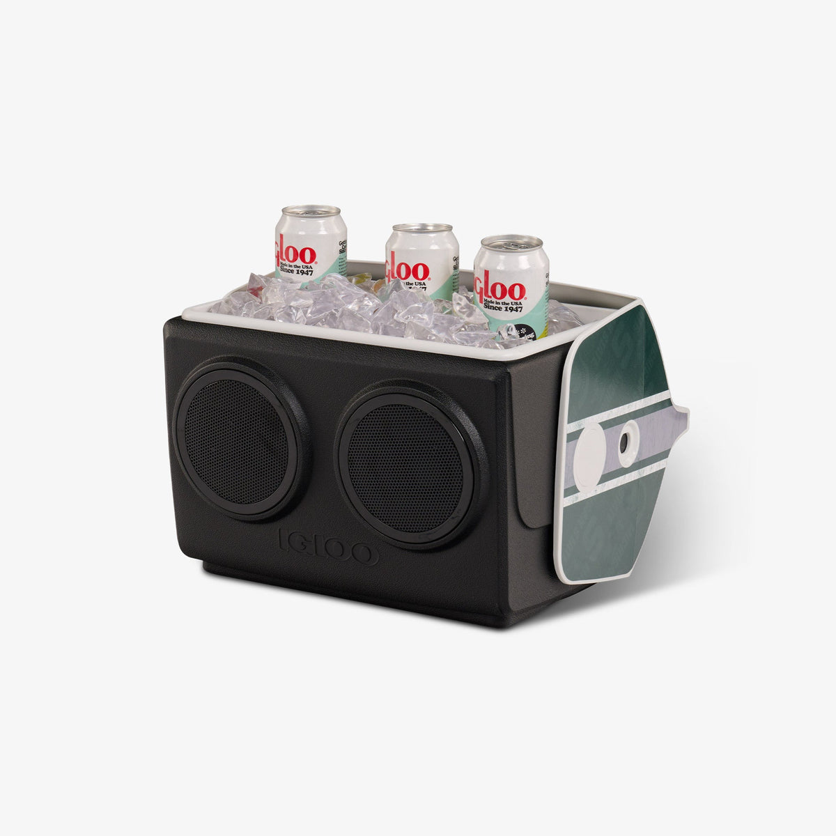 michigan-state-university-kooltunes-w8 00027730-P1.jpg