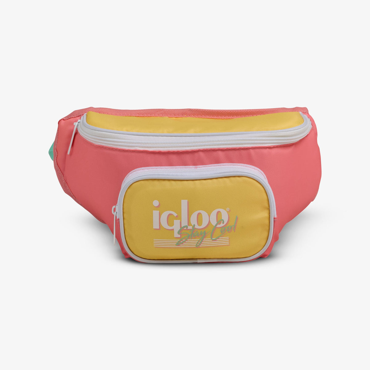retro-fanny-pack-r6 00066660-F.jpg
